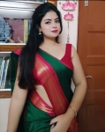Electronic City vip high profile college girl house wife available