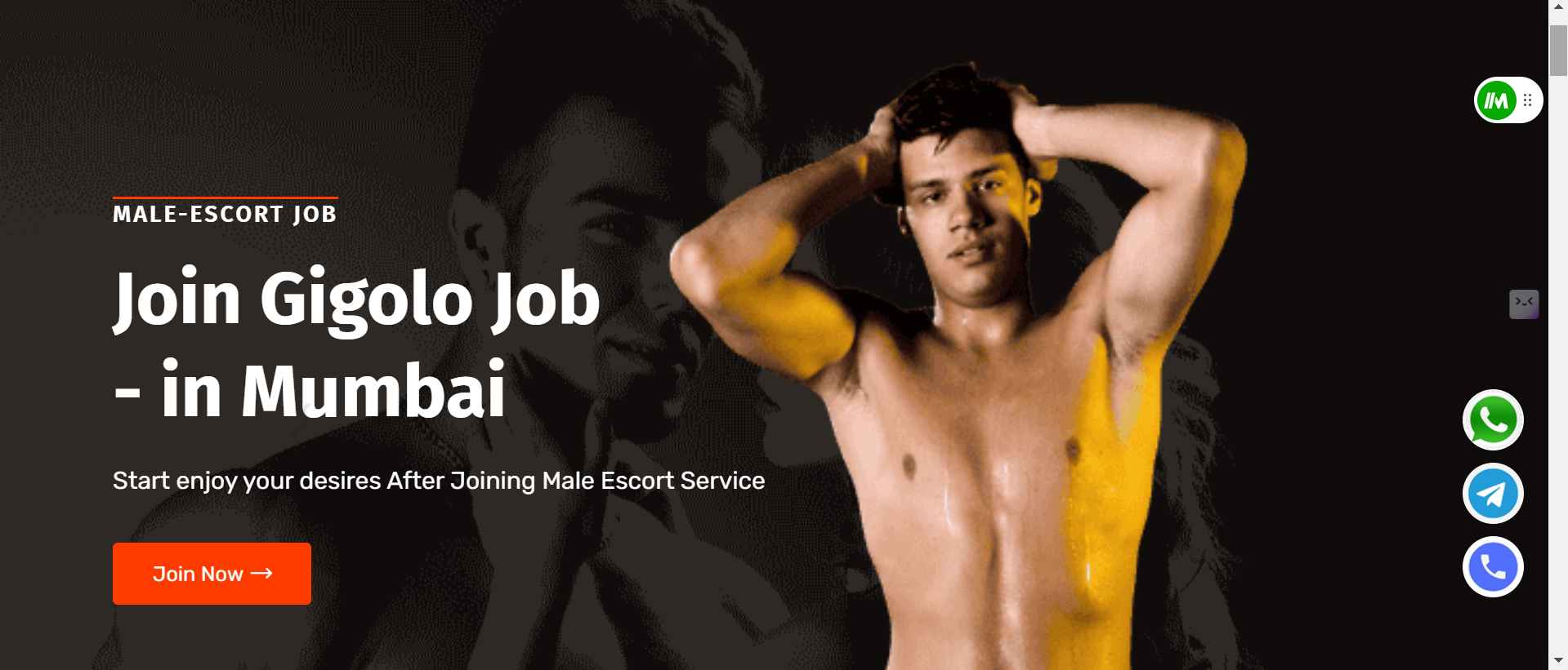 Male escorts in mumbai