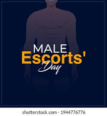 Male escorts services Delhi ncr